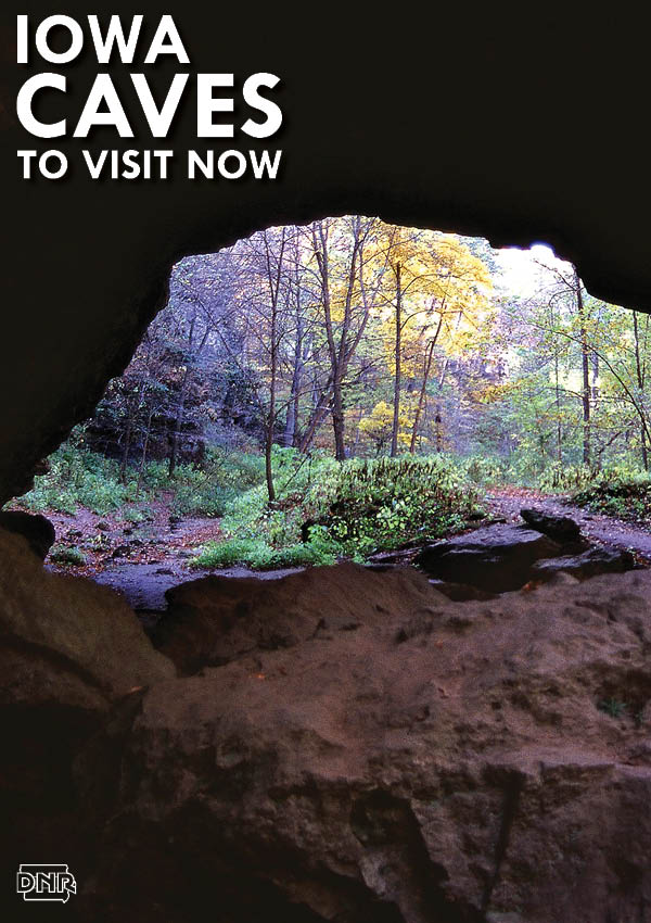 Yes, you can explore caves in Iowa! Try these three for a fun adventure | Iowa DNR